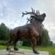 Карельский зоопарк Вероника 1