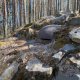IMG_20250516_104419_768