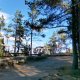 IMG-20251007-WA0006